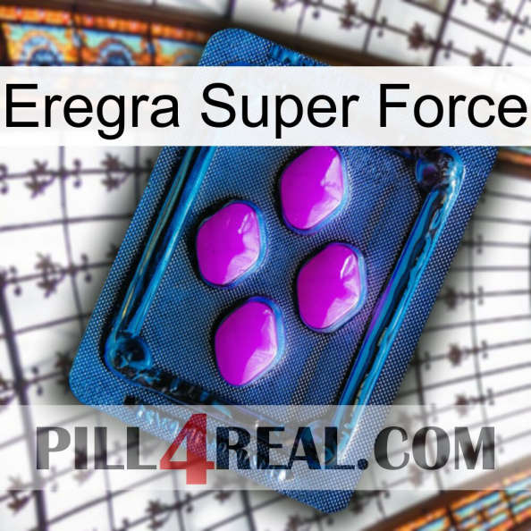 Eregra Super Force 04.jpg